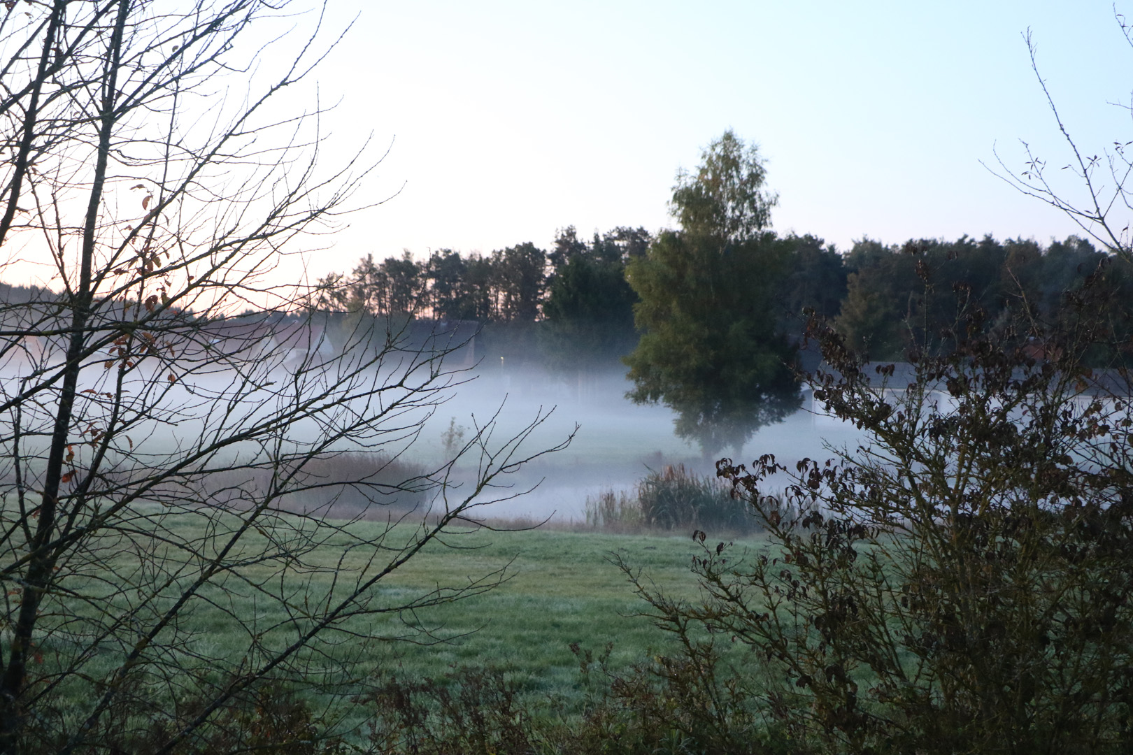 Nebel am Kleinen Weiher